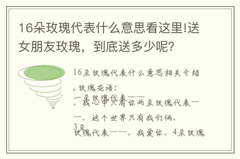 16朵玫瑰代表什么意思看这里!送女朋友玫瑰,到底送多少呢?