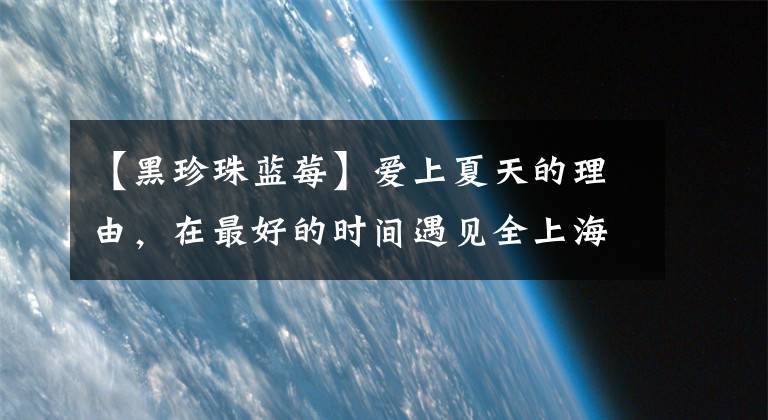 【黑珍珠蓝莓】爱上夏天的理由,在最好的时间遇见全上海最好吃的蓝莓