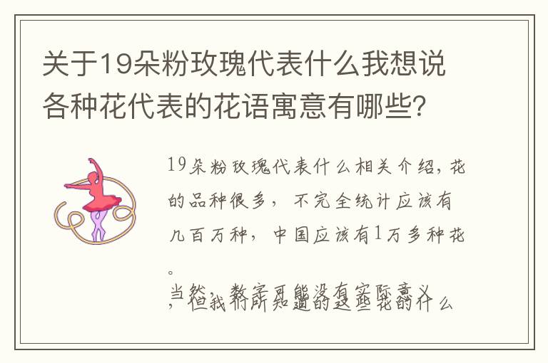 关于19朵粉玫瑰代表什么我想说各种花代表的花语寓意有哪些?您知道多少呢