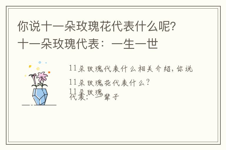 你说十一朵玫瑰花代表什么呢?十一朵玫瑰代表:一生一世