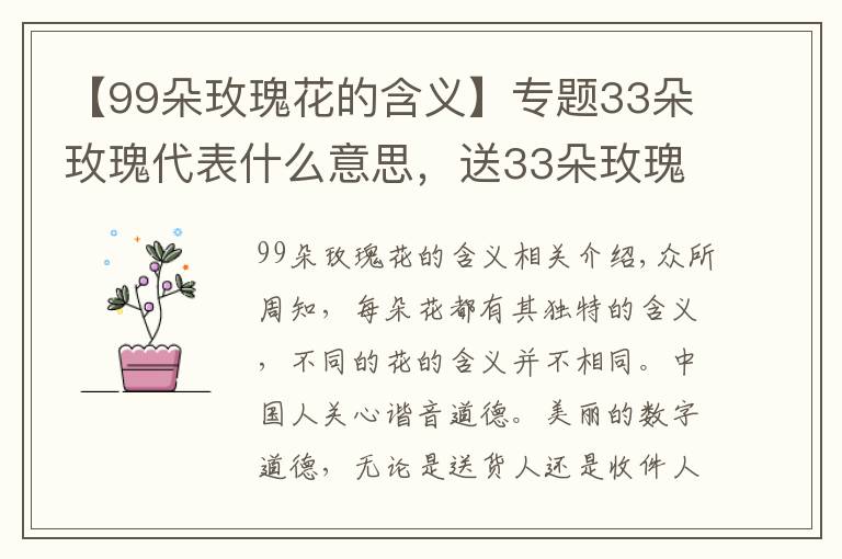 【99朵玫瑰花的含义】专题33朵玫瑰代表什么意思,送33朵玫瑰代表什么(生生世世的爱)
