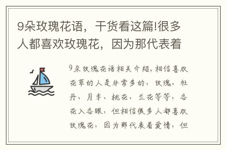 9朵玫瑰花语,干货看这篇!很多人都喜欢玫瑰花,因为那代表着爱情