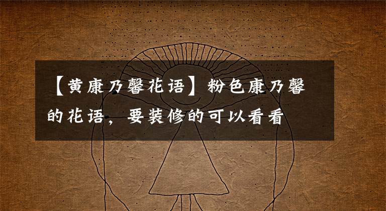 【黄康乃馨花语】粉色康乃馨的花语,要装修的可以看看