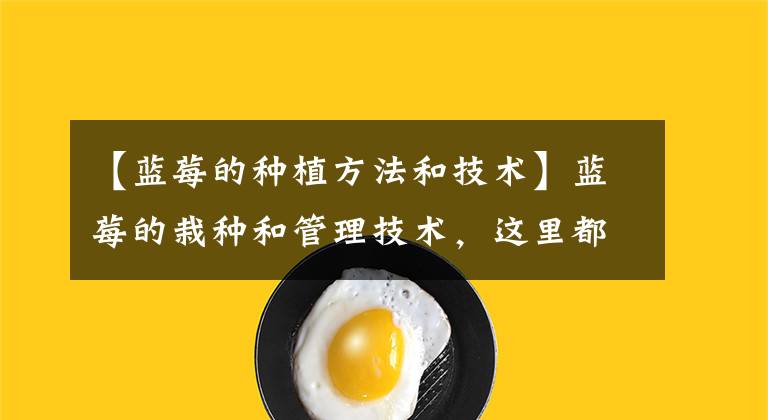 【蓝莓的种植方法和技术】蓝莓的栽种和管理技术,这里都有