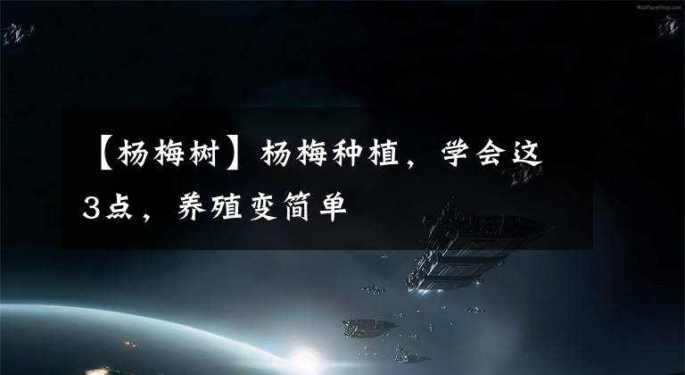 【杨梅树】杨梅种植,学会这3点,养殖变简单