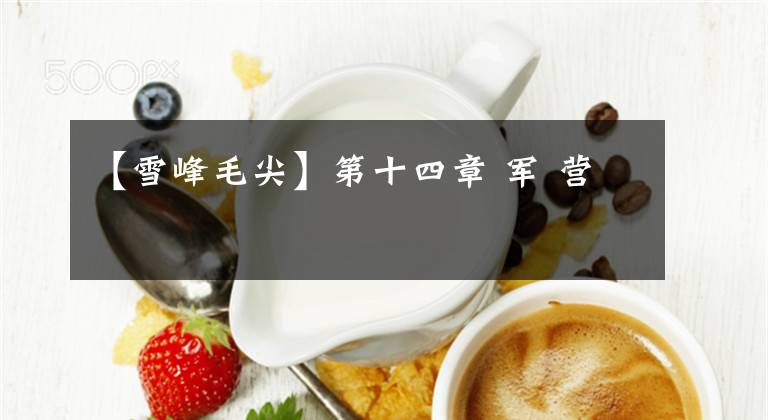 【雪峰毛尖】第十四章 军 营