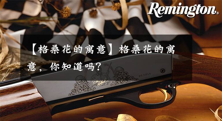 【格桑花的寓意】格桑花的寓意，你知道吗？