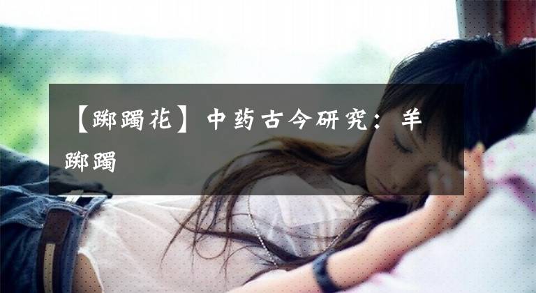 【踯躅花】中药古今研究：羊踯躅