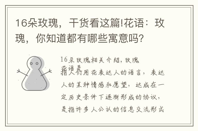 16朵玫瑰,干货看这篇!花语:玫瑰,你知道都有哪些寓意吗?