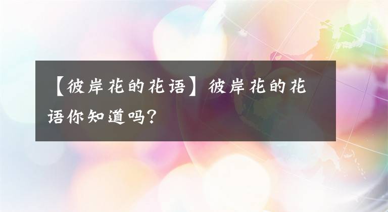 【彼岸花的花语】彼岸花的花语你知道吗？