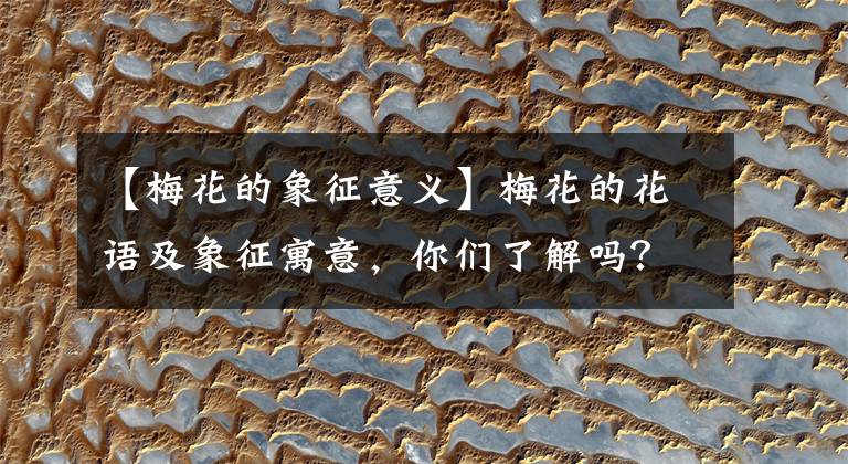 【梅花的象征意义】梅花的花语及象征寓意,你们了解吗?