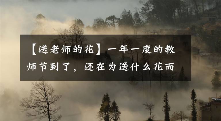 【送老师的花】一年一度的教师节到了，还在为送什么花而烦恼吗？