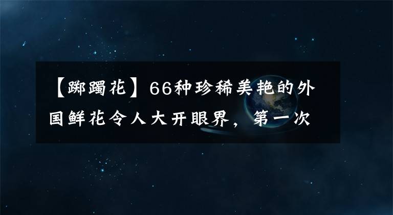 【踯躅花】66种珍稀美艳的外国鲜花令人大开眼界，第一次见到，简直不敢相信