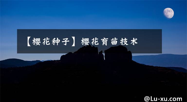 【樱花种子】樱花育苗技术