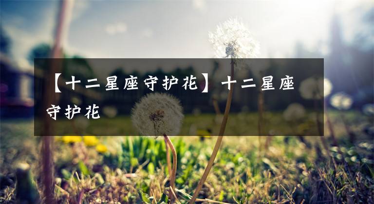 【十二星座守护花】十二星座守护花