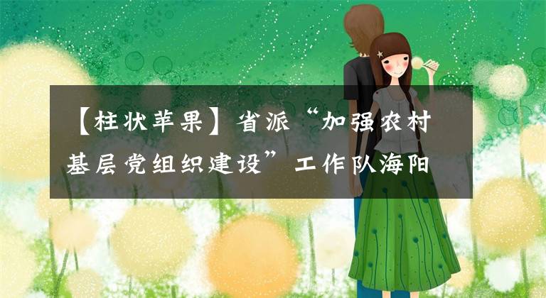 【柱状苹果】省派“加强农村基层党组织建设”工作队海阳市总队推动苹果产业高质量发展