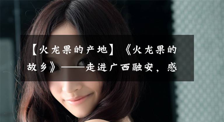 【火龙果的产地】《火龙果的故乡》——走进广西融安,感受火龙果的魅力。
