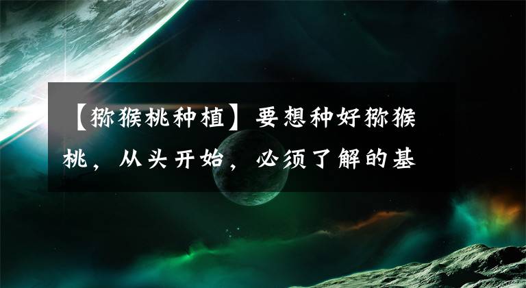 【猕猴桃种植】要想种好猕猴桃,从头开始,必须了解的基本种植管理技术