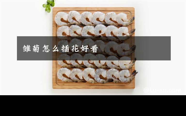 雏菊怎么插花好看