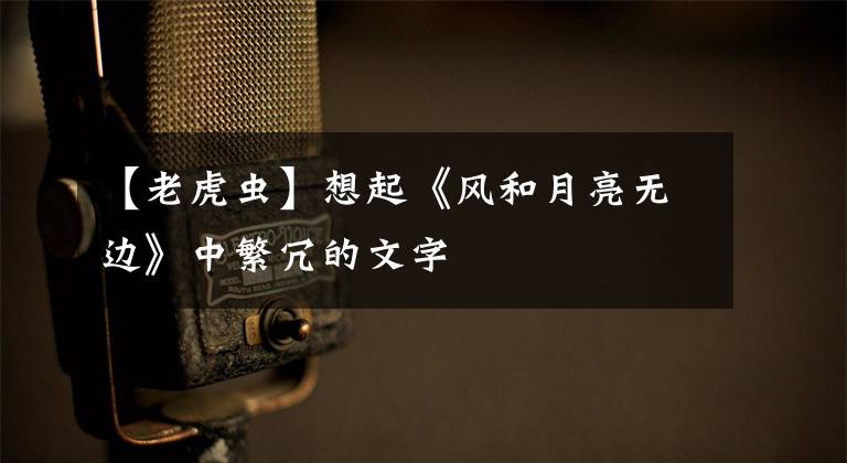 【老虎虫】想起《风和月亮无边》中繁冗的文字