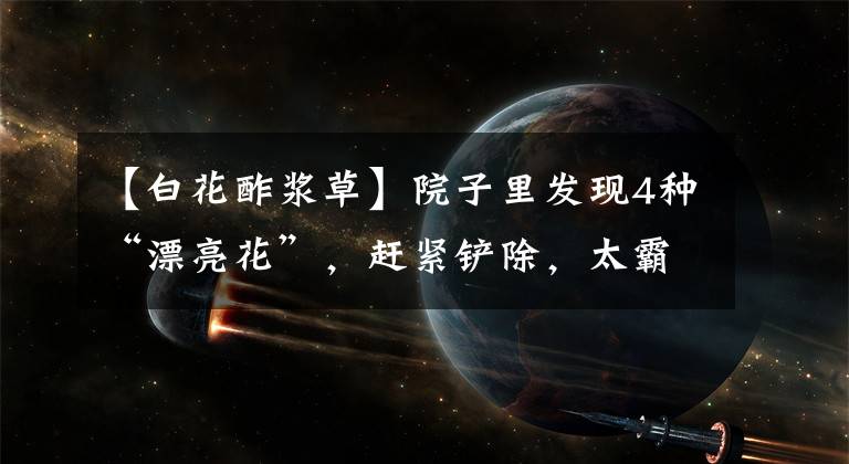 【白花酢浆草】院子里发现4种“漂亮花”，赶紧铲除，太霸道了