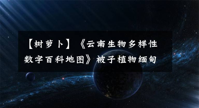 【树萝卜】《云南生物多样性数字百科地图》被子植物缅甸舞：不要被名字骗了。和我们吃的萝卜没关系。