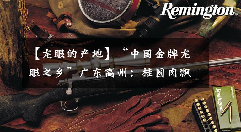 【龙眼的产地】“中国金牌龙眼之乡”广东高州:桂圆肉飘香海内外