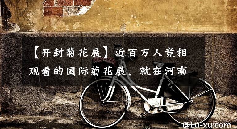 【开封菊花展】近百万人竞相观看的国际菊花展,就在河南开封清明上河园景区,错过再等一年