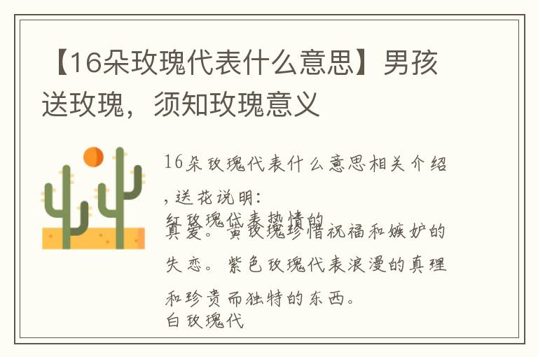 【16朵玫瑰代表什么意思】男孩送玫瑰,须知玫瑰意义