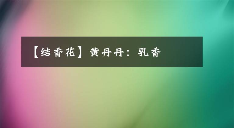 【结香花】黄丹丹:乳香
