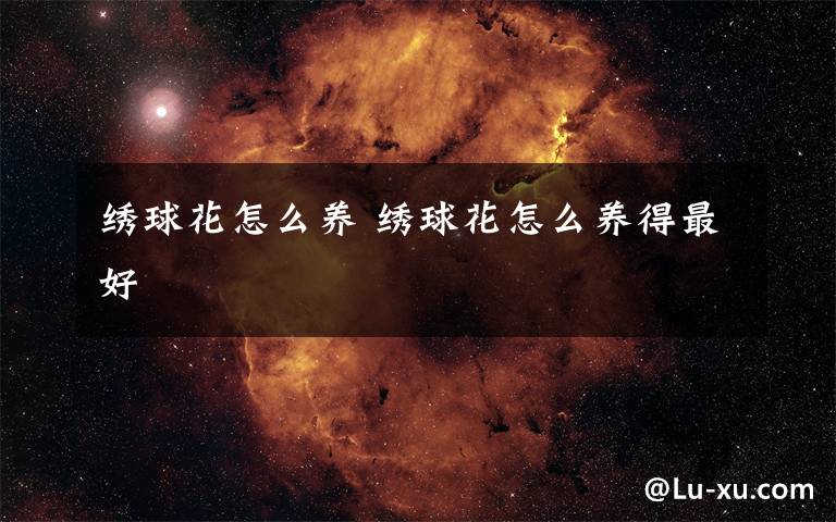 绣球花怎么养 绣球花怎么养得最好