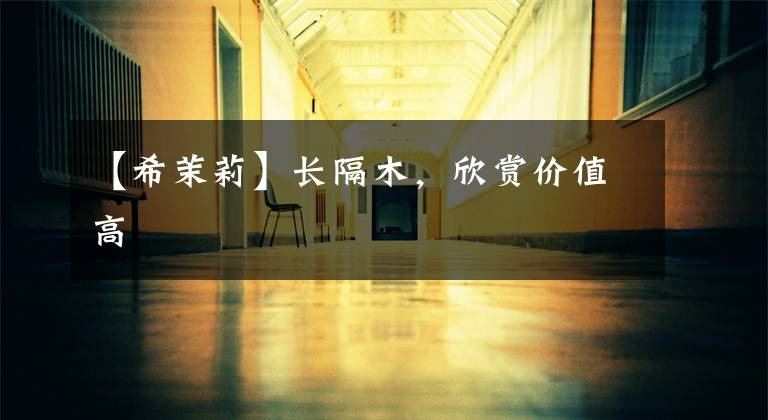 【希茉莉】长隔木,欣赏价值高