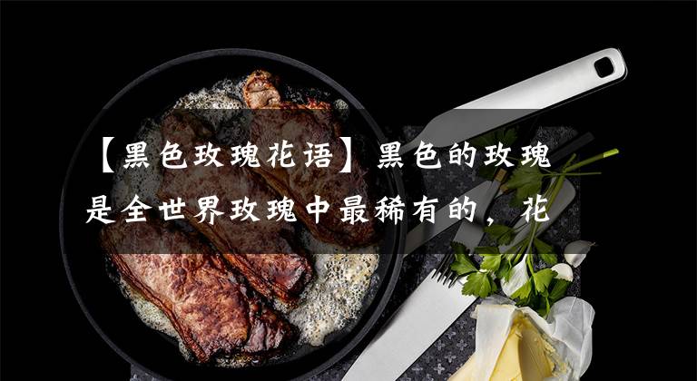 【黑色玫瑰花语】黑色的玫瑰是全世界玫瑰中最稀有的，花语：你是恶魔，且为我所有