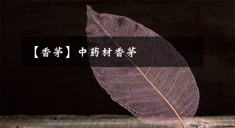 【香茅】中药材香茅