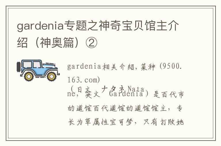 gardenia专题之神奇宝贝馆主介绍(神奥篇)②