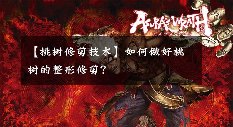 【桃树修剪技术】如何做好桃树的整形修剪?