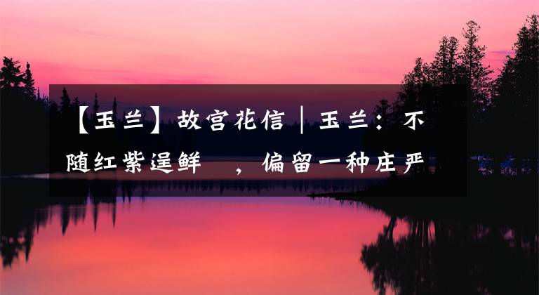 【玉兰】故宫花信|玉兰:不随红紫逞鲜秾,偏留一种庄严相