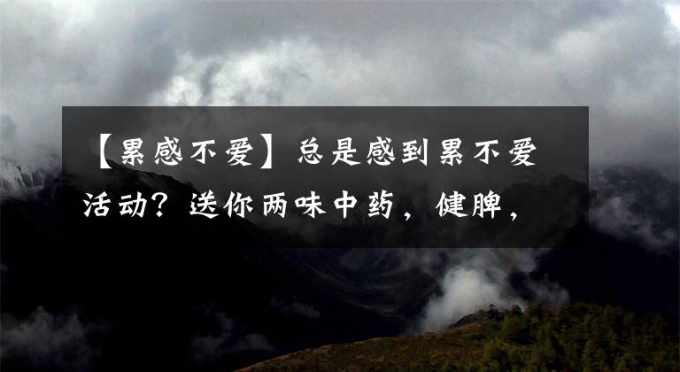 【累感不爱】总是感到累不爱活动?送你两味中药,健脾,祛湿,补气,湿去力强