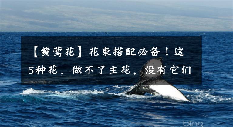【黄莺花】花束搭配必备!这5种花,做不了主花,没有它们却也不行
