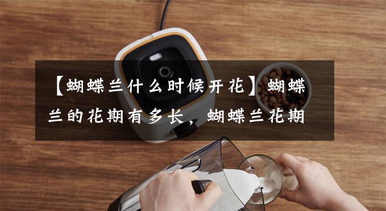 【蝴蝶兰什么时候开花】蝴蝶兰的花期有多长,蝴蝶兰花期可以施肥吗