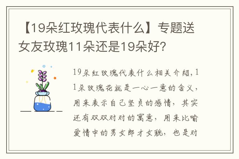 【19朵红玫瑰代表什么】专题送女友玫瑰11朵还是19朵好?