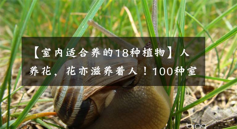 【室内适合养的18种植物】人养花,花亦滋养着人!100种室内盆栽花草图鉴,有您喜欢的吗?