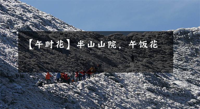 【午时花】半山山院，午饭花