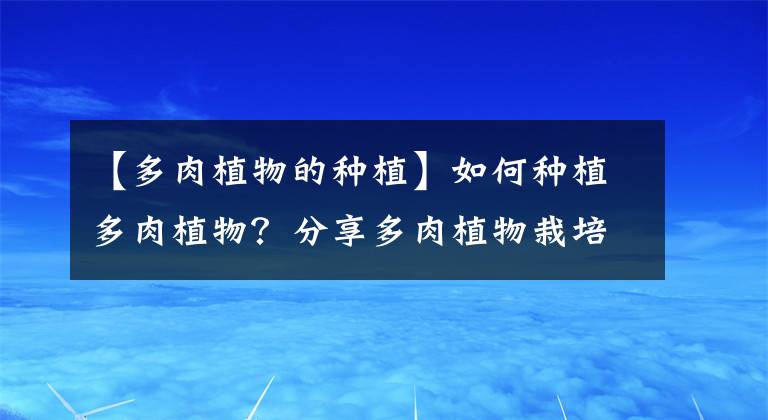 【多肉植物的种植】如何种植多肉植物?分享多肉植物栽培方法