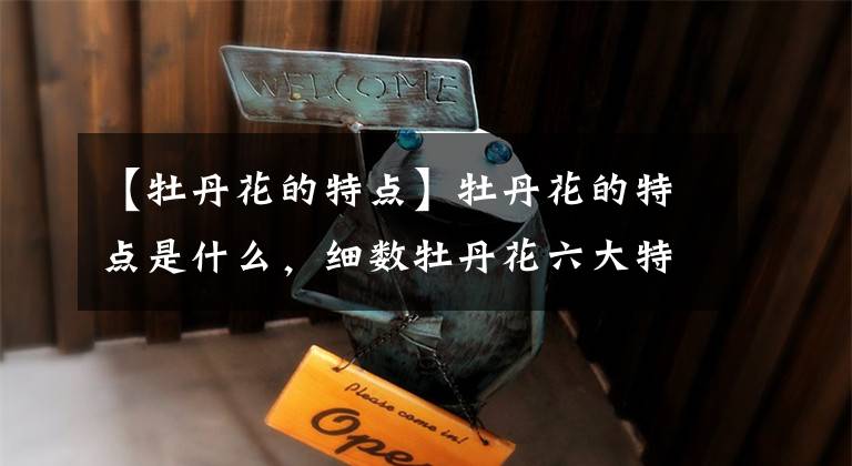 【牡丹花的特点】牡丹花的特点是什么,细数牡丹花六大特点