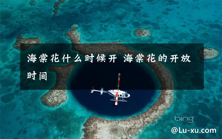 海棠花什么时候开 海棠花的开放时间