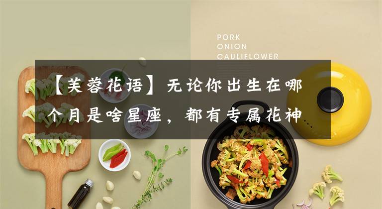 【芙蓉花语】无论你出生在哪个月是啥星座,都有专属花神花语和运势,看一下?