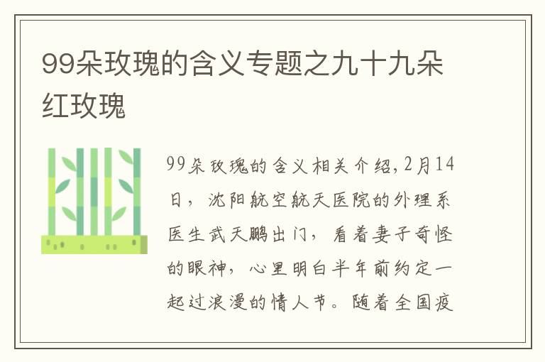 99朵玫瑰的含义专题之九十九朵红玫瑰