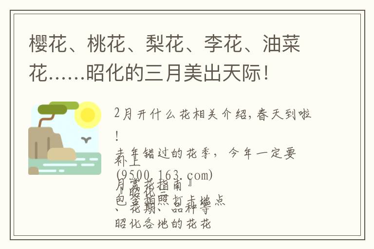 樱花、桃花、梨花、李花、油菜花……昭化的三月美出天际!