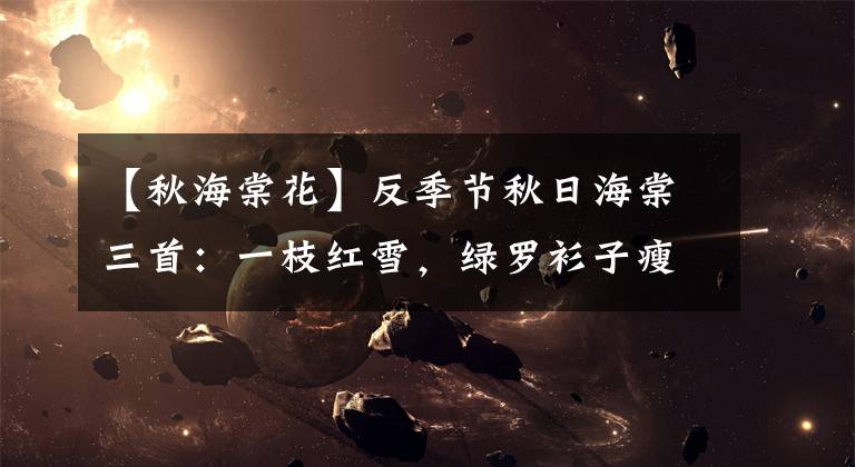 【秋海棠花】反季节秋日海棠三首:一枝红雪,绿罗衫子瘦来宽,只在秋天